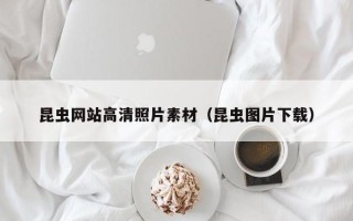 梅河口昆虫网站高清照片素材（昆虫图片下载）